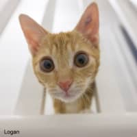 Photo of Logan