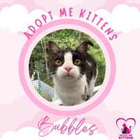 Photo of Bubbles