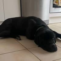 Photo of Jed