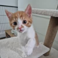 Photo of Jinkx Monsoon