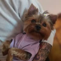 Photo of Molly