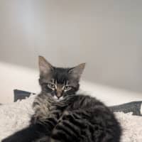 Photo of Chance