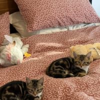 Photo of Tyrone & Miranda