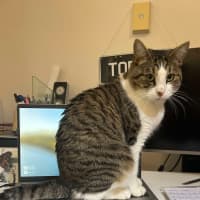 Photo of Lord Remington