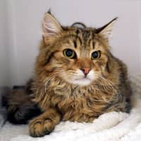 Photo of Jack Suk015799
