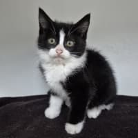 Photo of Marty