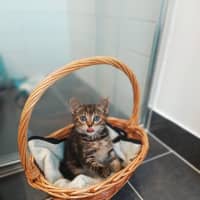 Photo of Holly Bloom