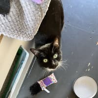 Photo of Sparkles