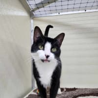 Photo of 💕 Yin 5660 💕