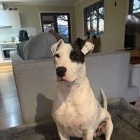 Photo of Letty