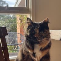 Photo of Sasha