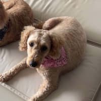 Photo of Jewel