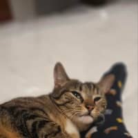 Photo of Tabitha