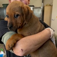 Photo of Ernie