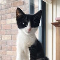 Photo of 🌸 Lily 🌸