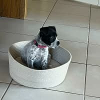 Photo of Evie