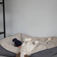 Photo of Millie