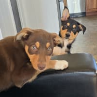 Photo of Baguette