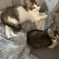 Photo of Ben And Jerry