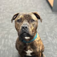 Photo of Ralphy Aka Wreck It Ralph