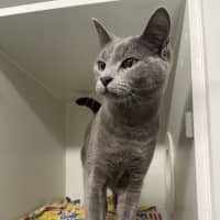 Photo of Storm