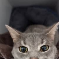 Photo of Tia