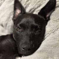 Photo of Click