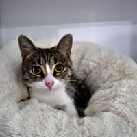 Photo of Jane