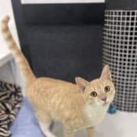 Photo of Big Boy