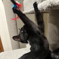 Photo of The Riddler