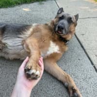 Photo of Blue