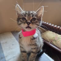 Photo of Lisa
