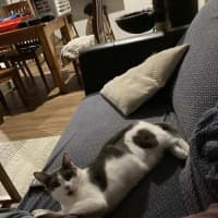 Photo of Delilah