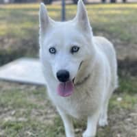 Photo of 🌻 Maya 5035 🌻