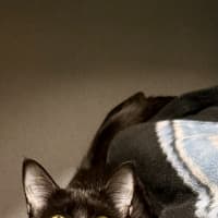 Photo of Hera