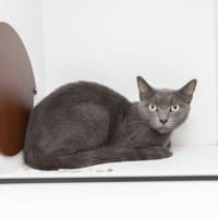 Photo of Fiona Penny Pickles
