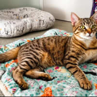 Photo of Ethel