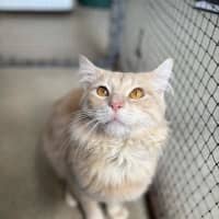 Photo of Buddy