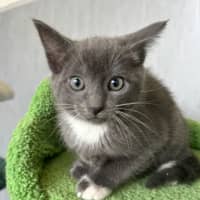 Photo of Bubba Barry