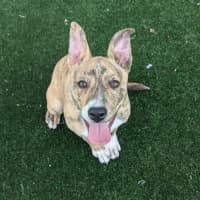 Photo of Thelma Imp 1900