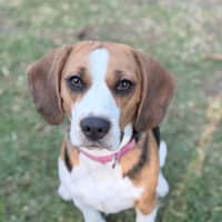 Photo of Kiki