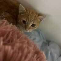 Photo of Sally