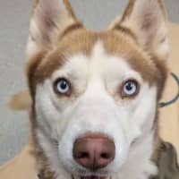 Photo of Hazel