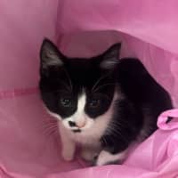 Photo of Edith