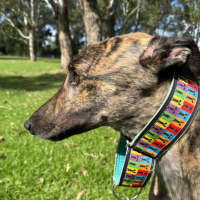 Photo of Mortimer Boris