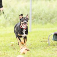 Photo of Delilah