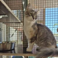 Photo of Spring! 🌷