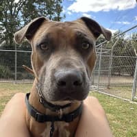 Photo of Turbo