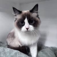 Photo of Clara 