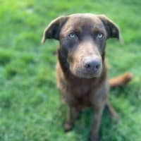 Photo of Max